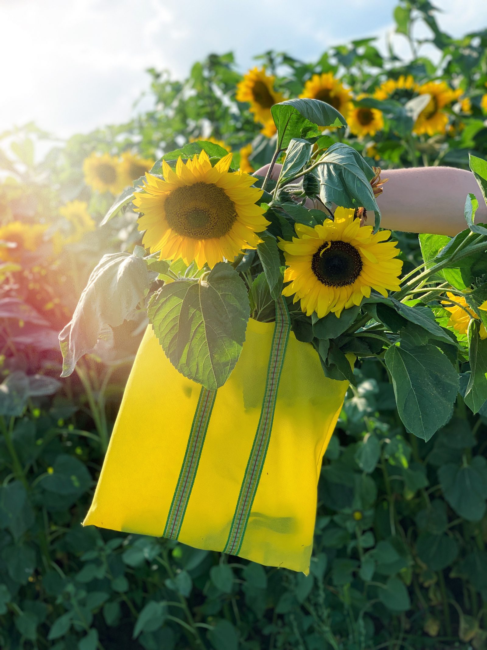 Indisk totebag - väska påse