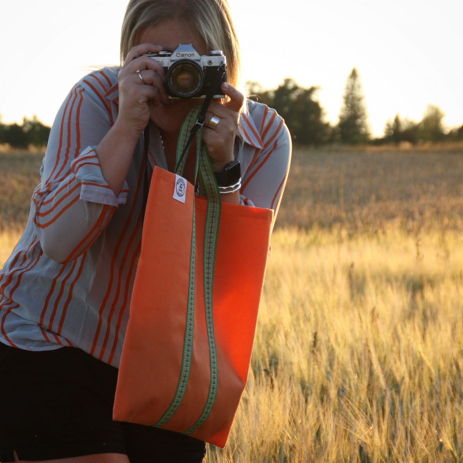 Indisk väska - påse - tote bag